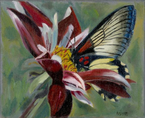 Butterfly on a Flower (Original)