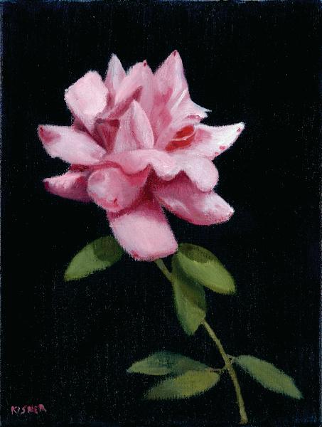 Single Pink Rose